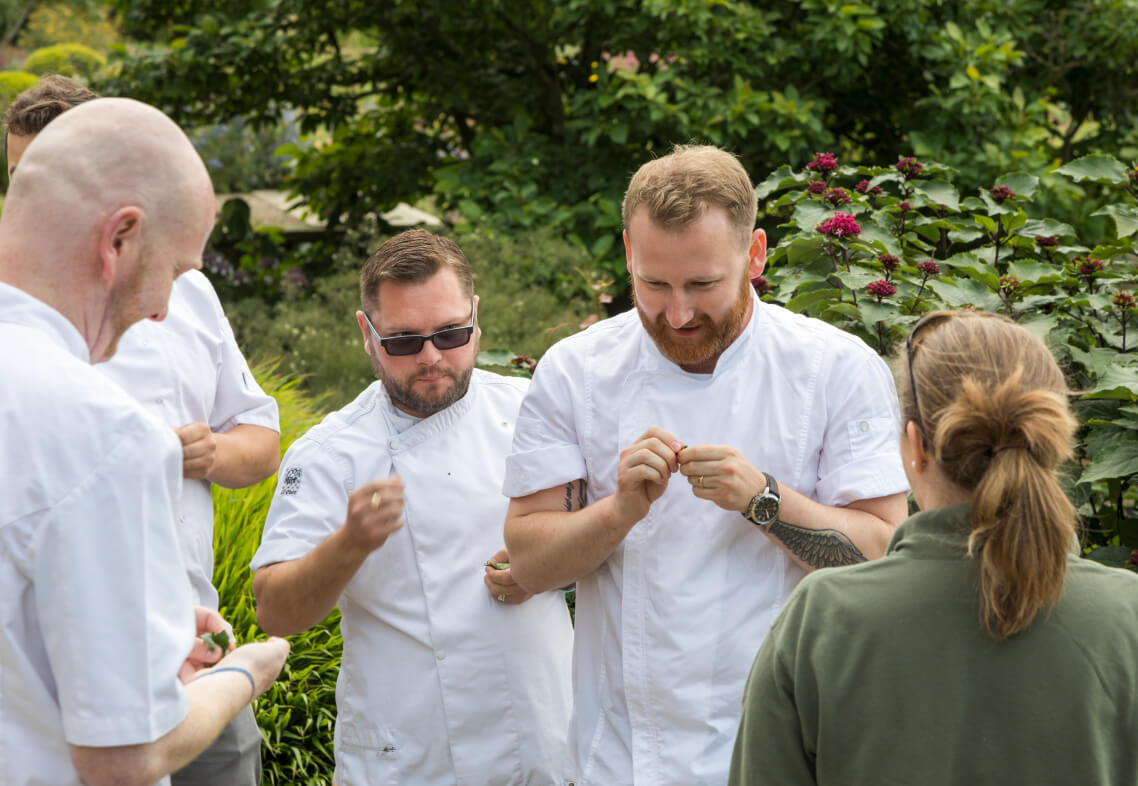 Kitchen Garden Tour